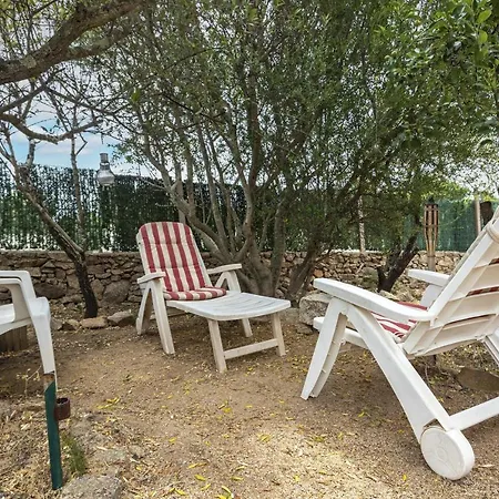 Petite Maison En Bois Exotique * Figari (Corsica)
