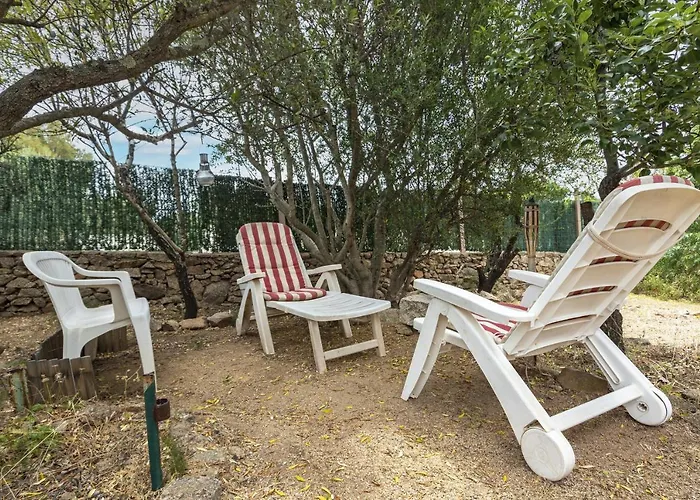 Petite Maison En Bois Exotique * 菲加里