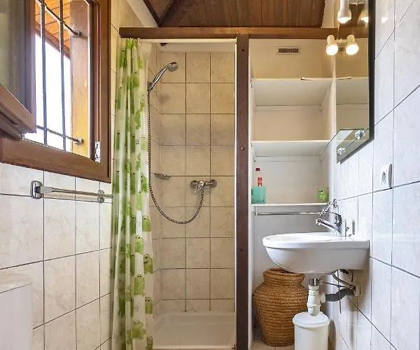 Petite Maison En Bois Exotique * Фигари